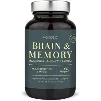 Ginza.se Brain & Memory Magnesium 90 kap