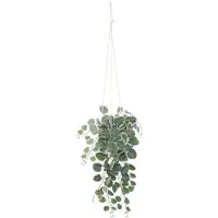 Atmosphera Sovende plante SIESTE i plastpotte