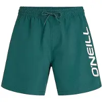 O'Neill Logo 16'' Boardshorts grønn