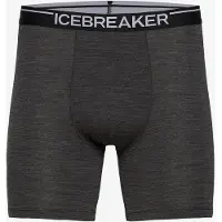 Icebreaker Anatomica Boxers