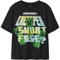 Name it Minecraft T-skjorte