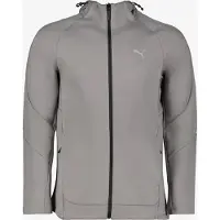 Puma EVOSTRIPE Full-Zip Hoodie Men, Clothing, Cast Iron, S