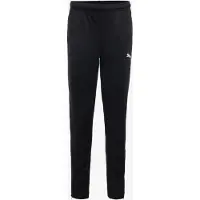 Puma Teamrise Poly Training Bukser