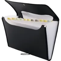 D.Rect Folder A4 12 compartments black