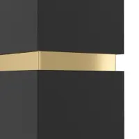 Eglo Passa vegglampe med 2 lyskilder, svart og gull
