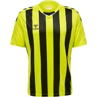 Hummel Core Xk Striped Kortarmet T-skjorte