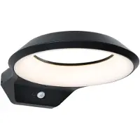Paulmann Anela 94836 LED-vegglampe 12,5 W LED (RGB) antrasitt