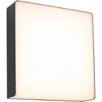 Paulmann LED utendørs LED-vegglampe Azalena, sensor, antrasitt