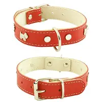 Youpet Mountain Westy 70x3.5 Cm Hundehalsbånd