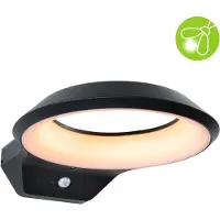 Paulmann Anela LED-sensor-utendørs vegglampe 2 200 K