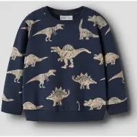 Name It Mini Økologisk Bomull Sweatshirt
