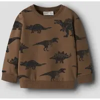 Name It Mini Økologisk Bomull Sweatshirt