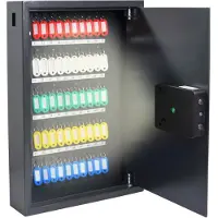 Pavo High Security Smart-WiFi 8025367 Schlüsseltresor grau mit 50 Haken, Fingerabdruck, WiFi, Zahlencode, 38,0 x 10,0 x 55,0 cm, 1 St. (8025367)