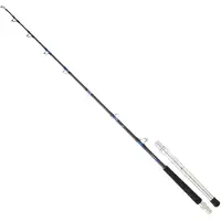 Daiwa Saltiga Fiskesnelle