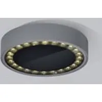 HELESTRA Say utendørs LED-taklampe grafitt Ø23cm