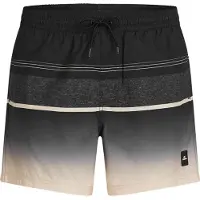 O'Neill Gradient 15'' Boardshorts svart