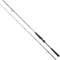 Daiwa Saltist Seabass Spinnestang