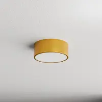 TEMAR LIGHTING Cleo taklampe, Ø 20 cm, IP20, gullfarget, metall, E27