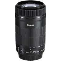 Canon EF-S - Telefotozoomobjektiv - 55 mm - 250 mm - f/4.0-5.6 IS STM - EF/EF-S