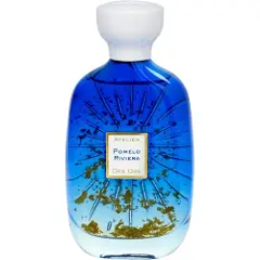 Atelier Des Ors Pomelo Riviera Eau De Parfum 100 ml (unisex)-1