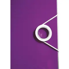 Leitz Brevordner Active PP WOW A4/80mm Lilla-4