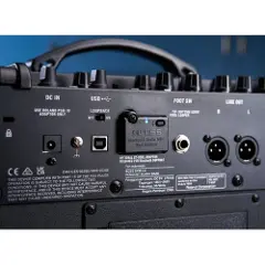 Roland Dual Cube Bass LX Bassgitarforsterker-4