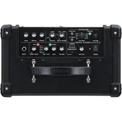 Roland Dual Cube Bass LX Bassgitarforsterker-3