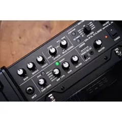 Roland Dual Cube Bass LX Bassgitarforsterker-5