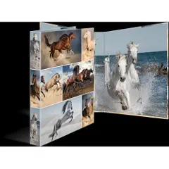 Herma Ringperm 2R DIN A4 3,5 cm med motiv-4