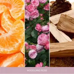 Woodwick DUFTLYS MED TREVETE WOODWICK NW MEDIUM WODLAND ROSE-3