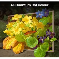 Hisense 55S7NQ Ramme-4