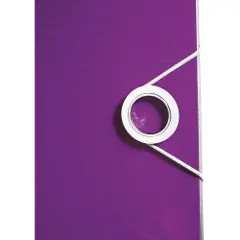 Leitz Ordner Active WOW, 180 Grad, 60 mm, violett DIN A4, runder R?cken, aus Polyform, Oberfl?chenstruktur - 1 St?ck (1107-00-62)-5